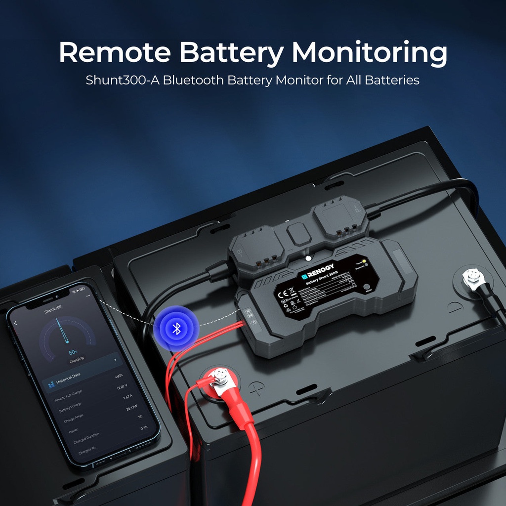 Renogy Battery Shunt 300 — 2