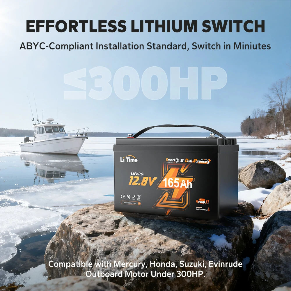 LiTime 12V 165Ah Dual Purpose EN image 3