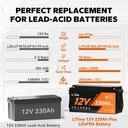 LiTime 12V 230Ah EN image 4