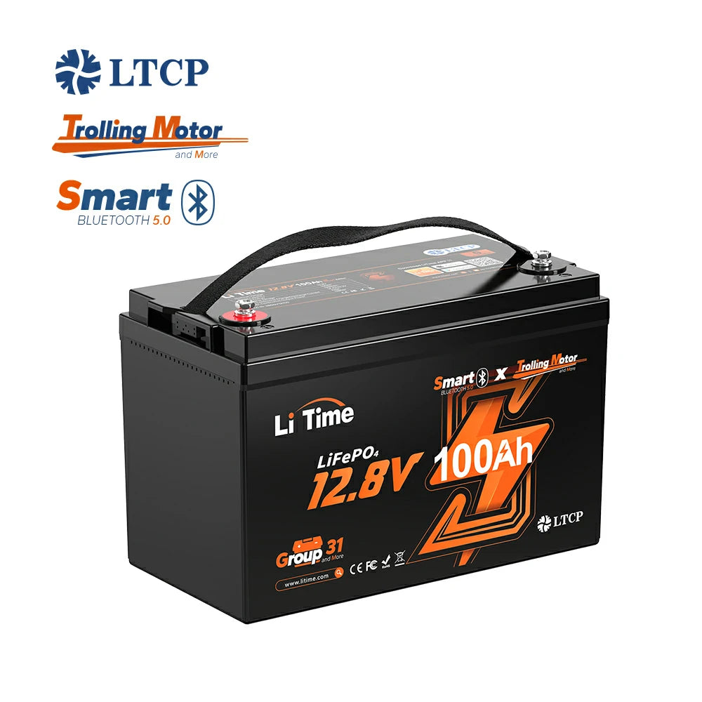 LiTime 12V 100Ah TM Group31 LiFePO4 акумулатор с Bluetooth